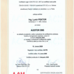 Auditor EMS do 2029